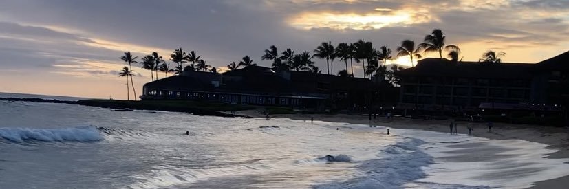 leilaniduque's profile banner image
