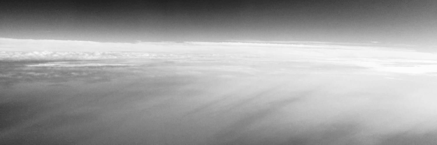 ari_n_co's profile banner image