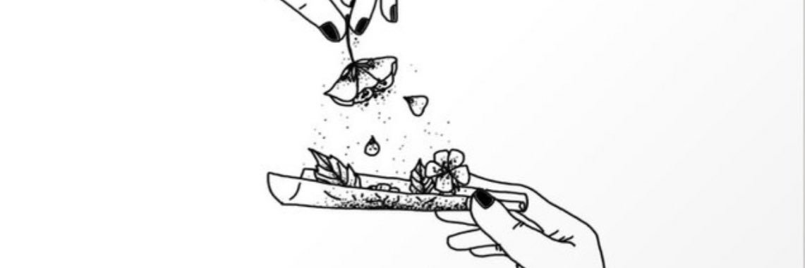 KristenBiro's profile banner image