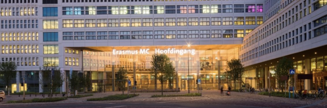 Merel Hellemons banner