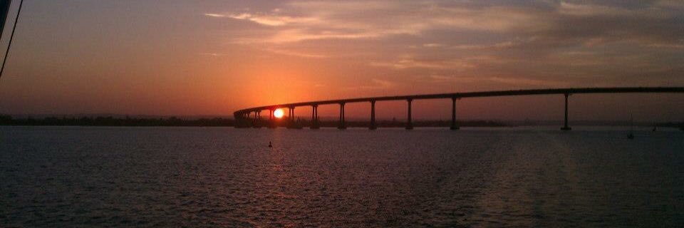 Coach Saunders 🏐 banner