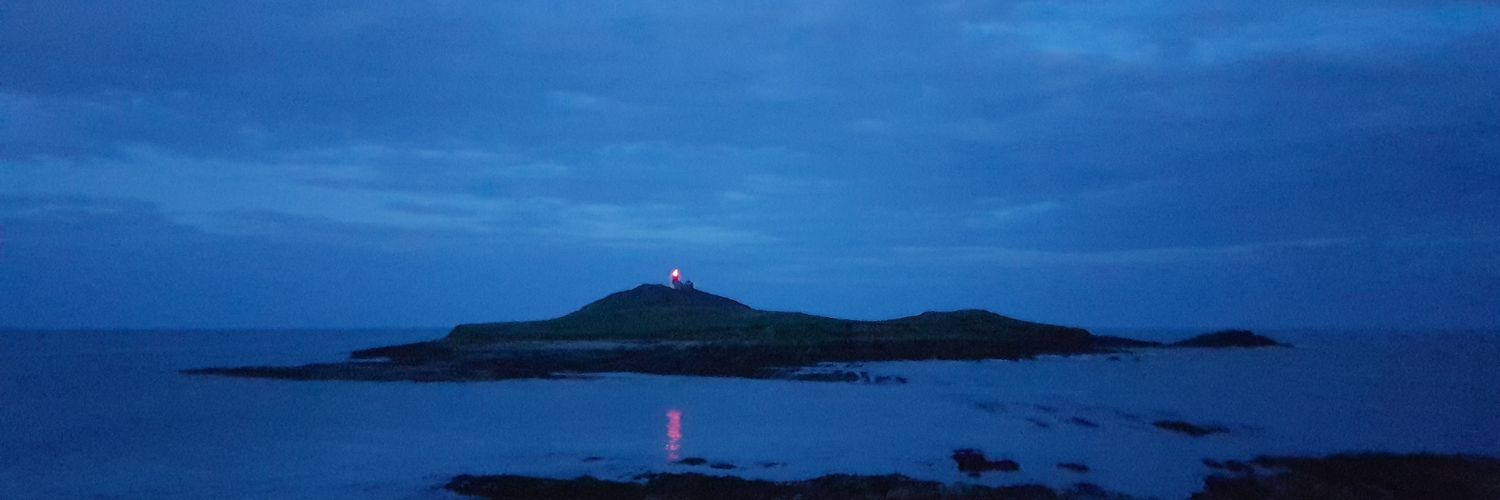 Hugo Brady Brown banner