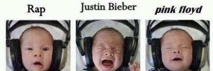 Dr. Mel Guiso banner