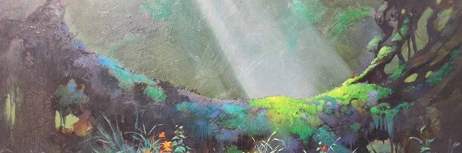 Camiam29's profile banner image