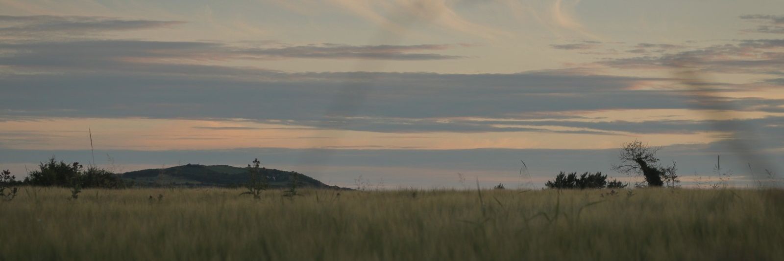 DavidCronolly's profile banner image