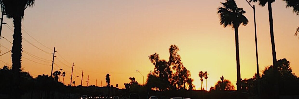Alix_Smith13's profile banner image