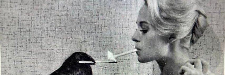 Jane Bloomfield banner