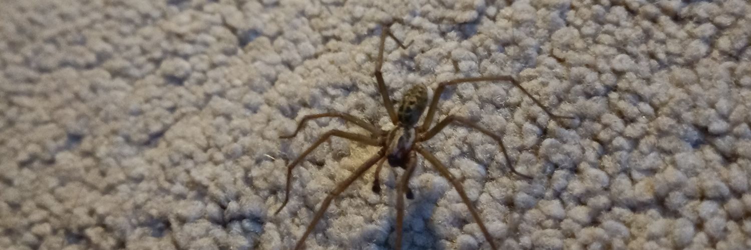 William Barrow banner