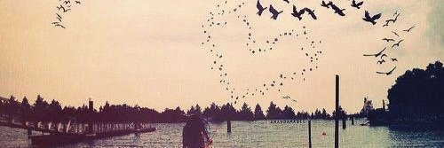adri_l07's profile banner image