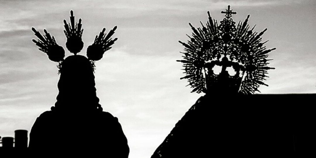pedrithofficial's profile banner image
