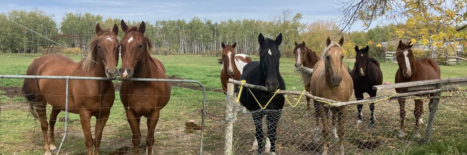 barefoot_ranch's profile banner image