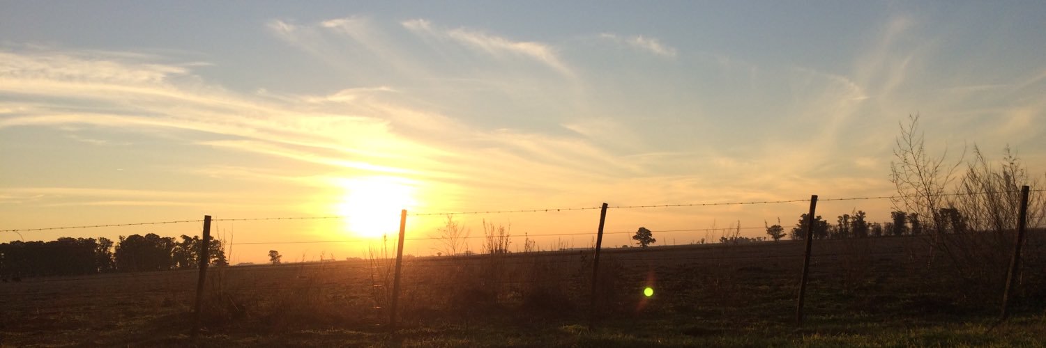 sofifri's profile banner image