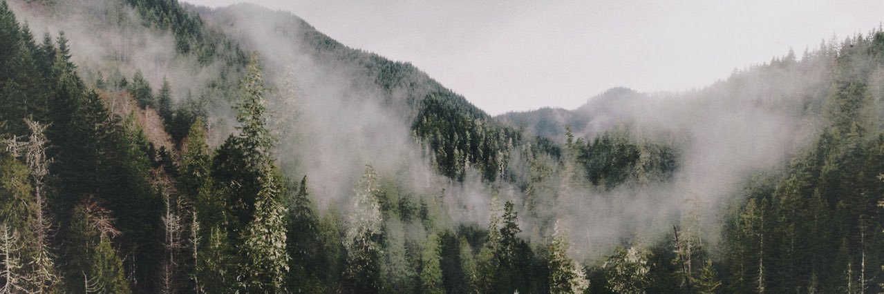 KayaLopezZ's profile banner image