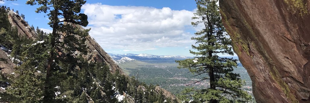 AmandaPicc's profile banner image