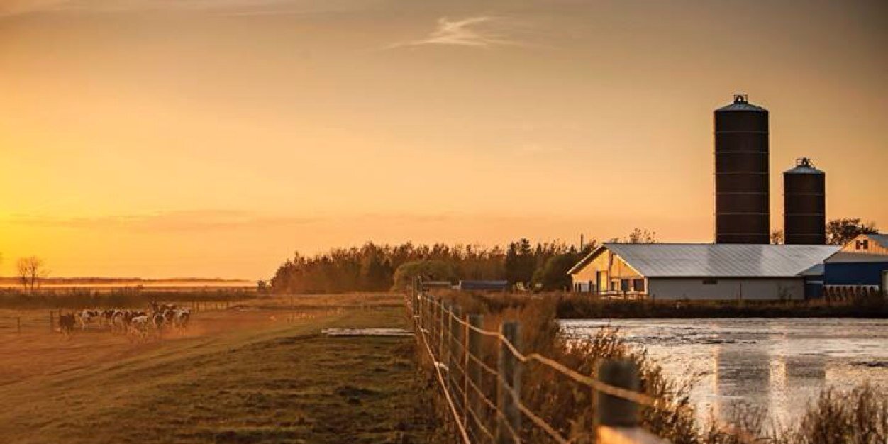 rainyridgefarms's profile banner image