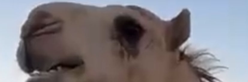 علي نايف البجيدي banner