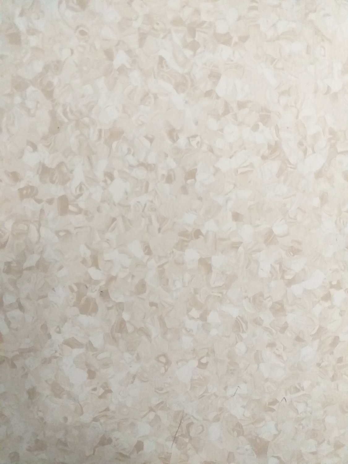 Sebayale's profile banner image