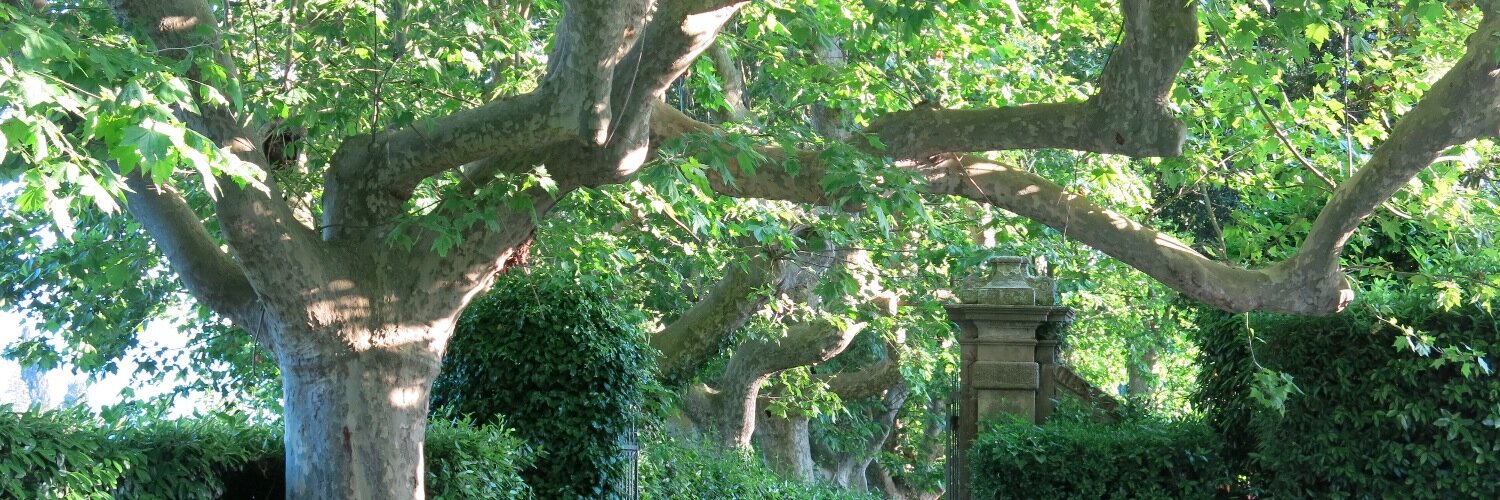 waltdoyle's profile banner image