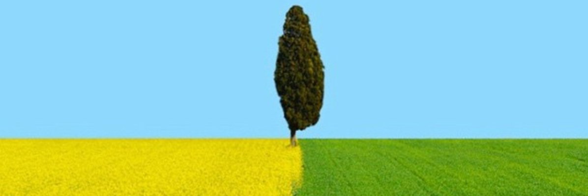 cam banner