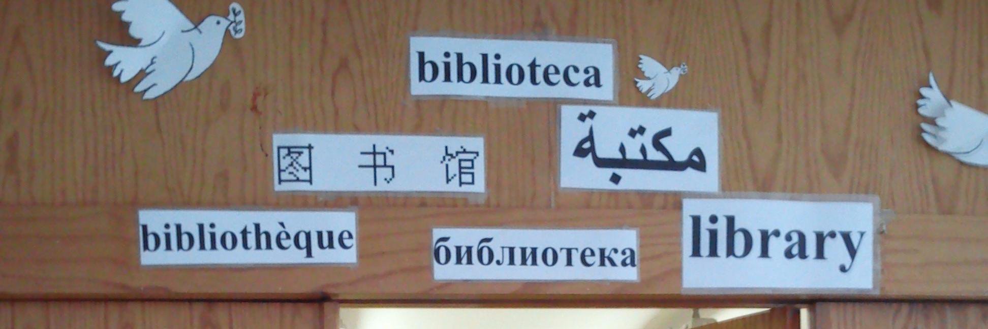 Biblio Playamar banner