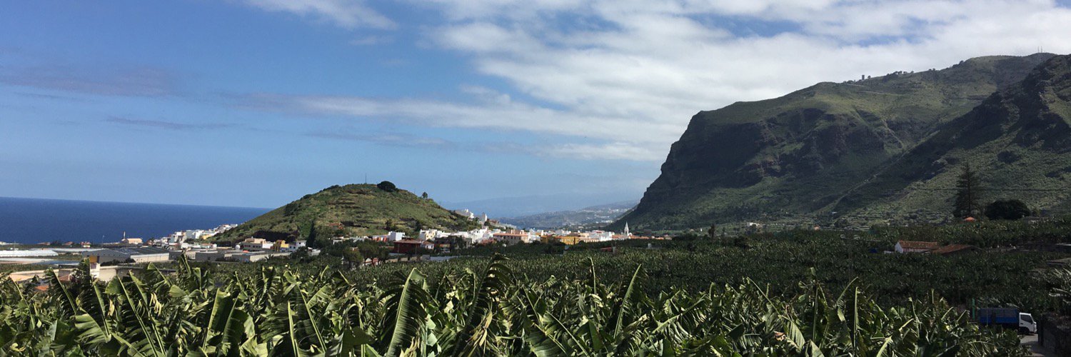 Norena Martín banner