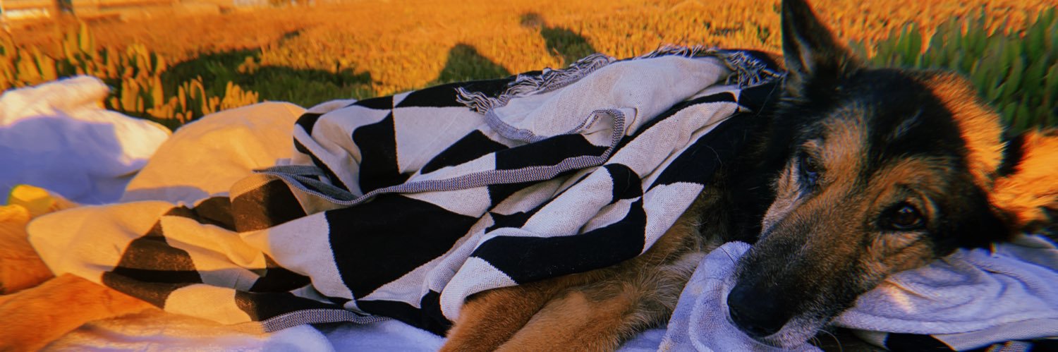 Kelly_Miuracle's profile banner image