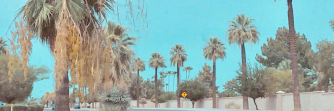 ally_vinson's profile banner image