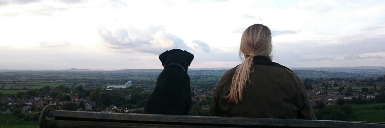 CharlieBear_Lab's profile banner image