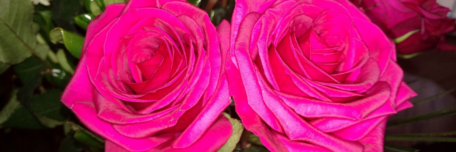 selval515's profile banner image