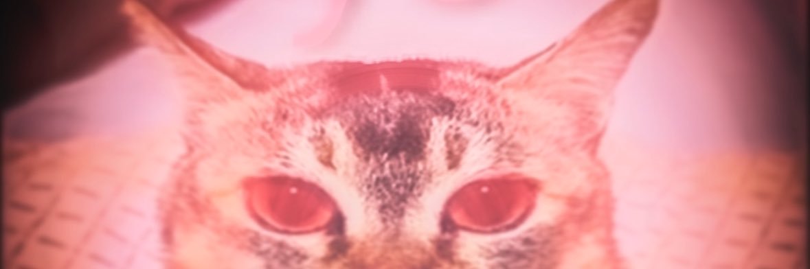 AzikinRo's profile banner image