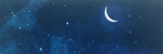 TheLitCoven's profile banner image