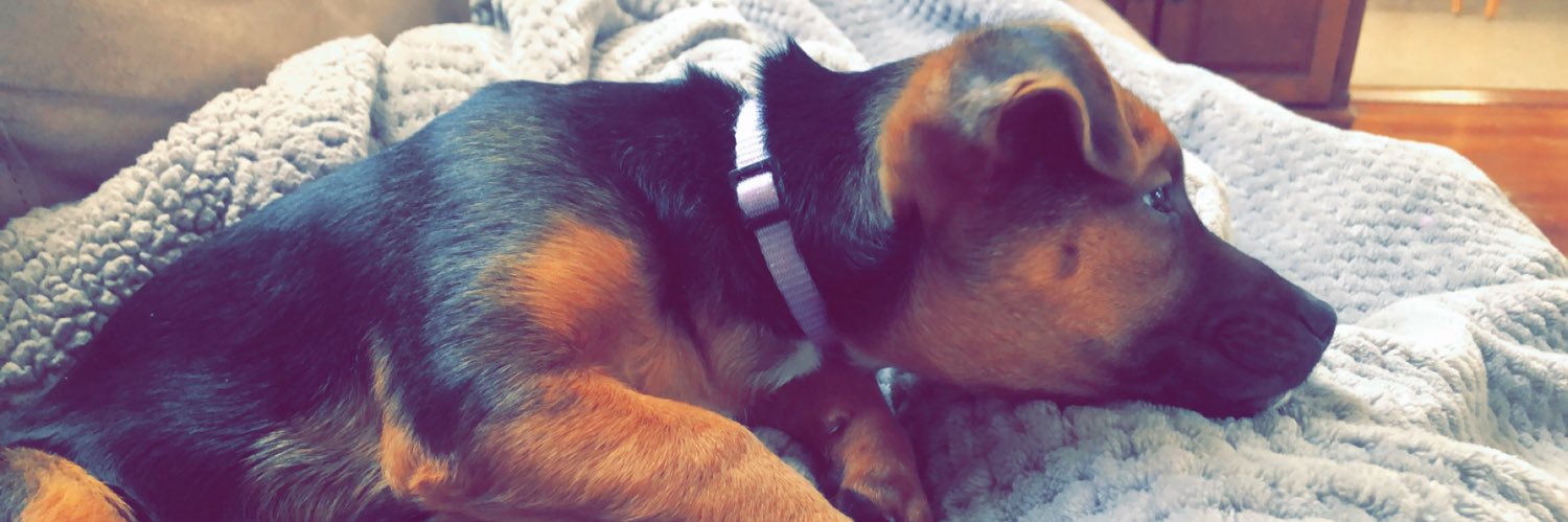 vicky_lynn14's profile banner image