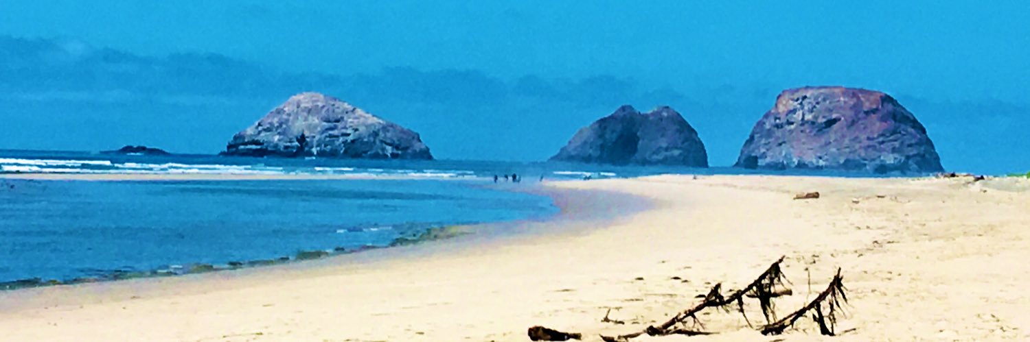 swswims's profile banner image