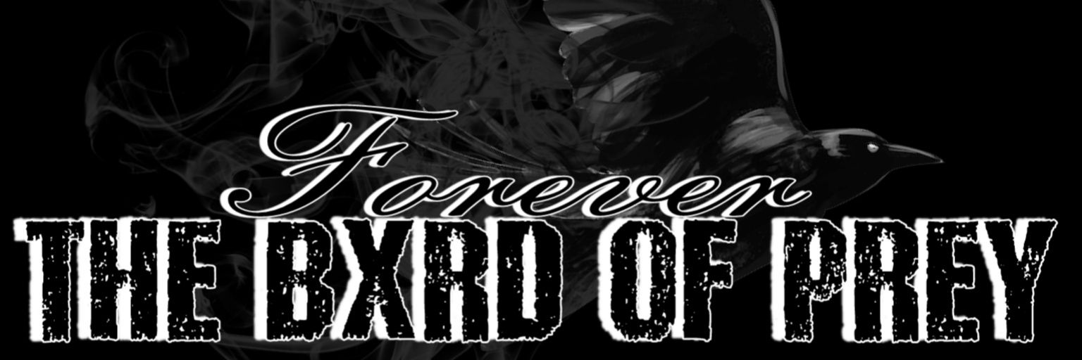 Black_Falcun's profile banner image
