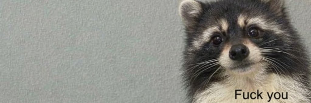 Sebastc1's profile banner image