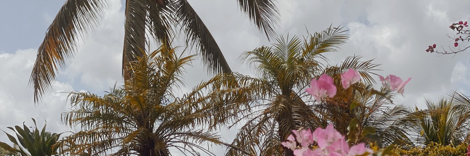 TaylorRanieri's profile banner image