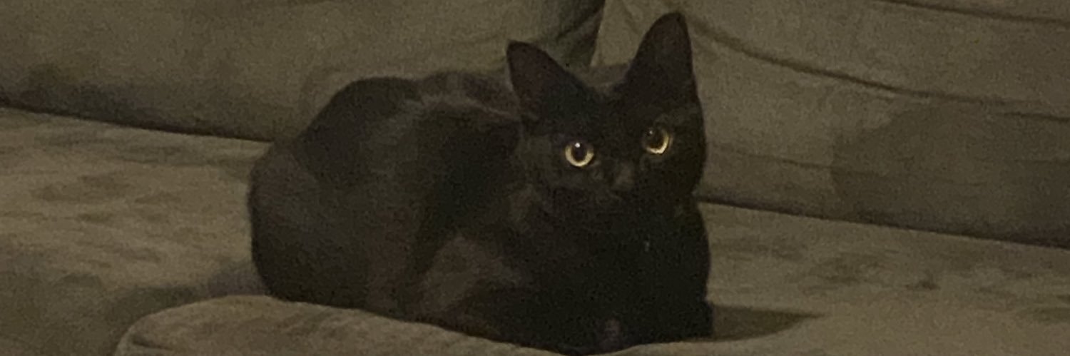 PPerperidis's profile banner image