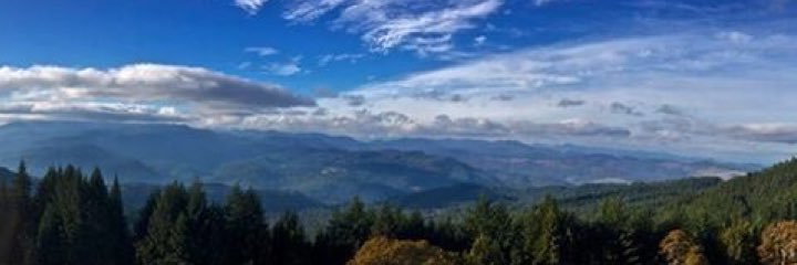arihiller's profile banner image