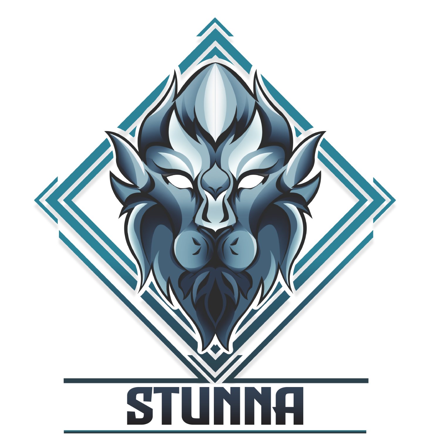 🇺🇸 STUNNA 🇲🇽 banner