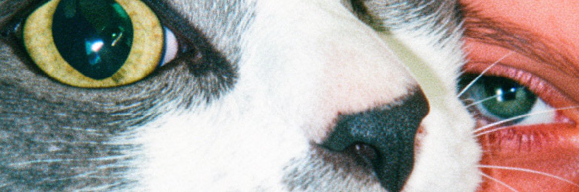 JuliCalcini's profile banner image