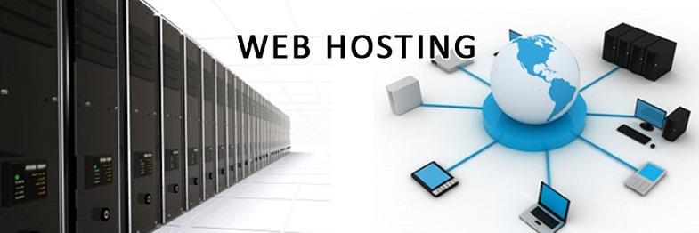 Web Hosting Talk banner
