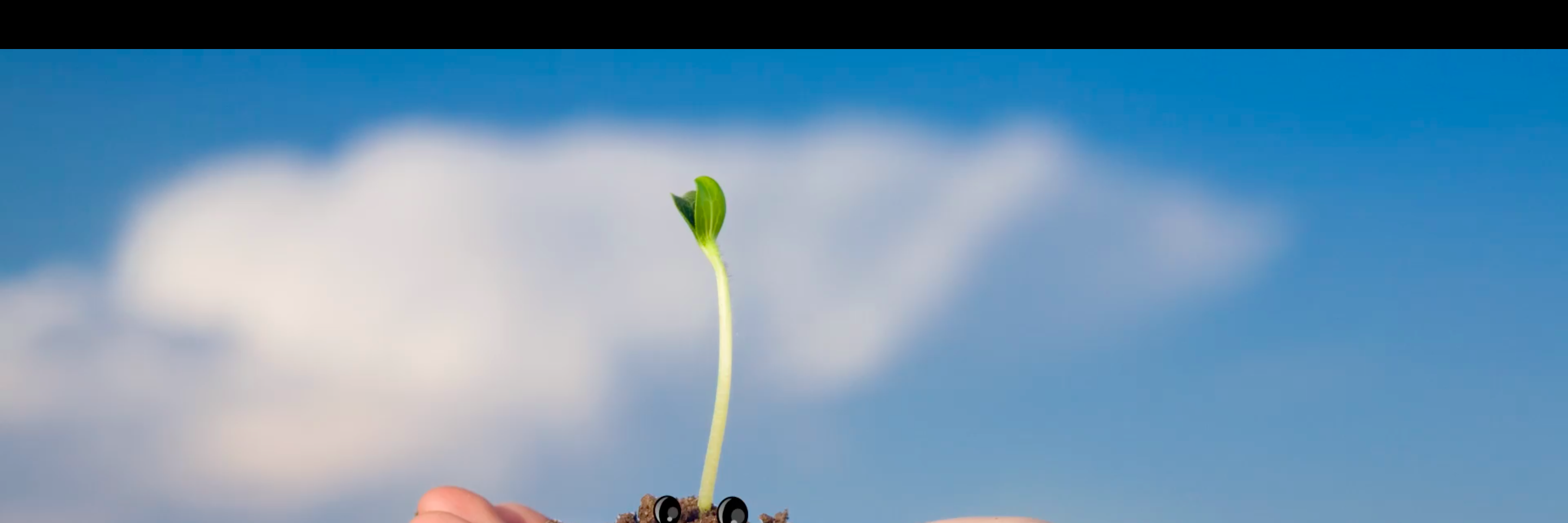 SingForSoil's profile banner image