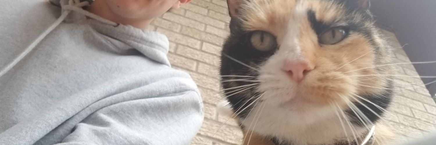 Wleibee's profile banner image