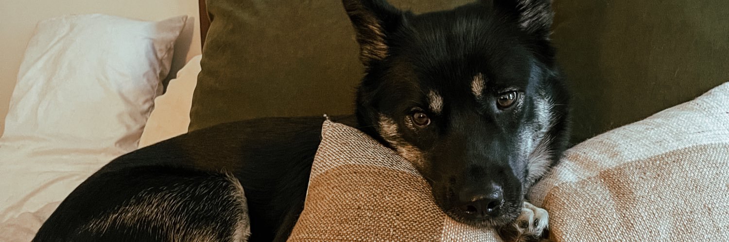 halie_rose's profile banner image