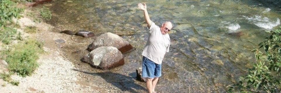 Diane Livingston banner