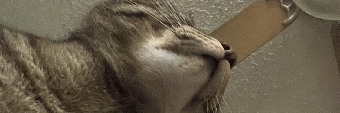 antyuuh's profile banner image