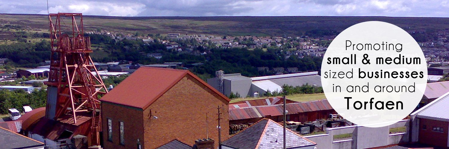 Torfaen Connection banner