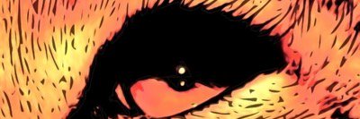 WildThrub's profile banner image