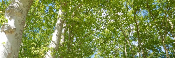 MilesHalpine Profile Banner