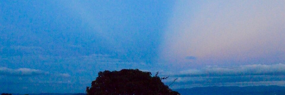 DmaDmita's profile banner image